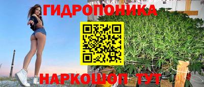 стаф Бузулук
