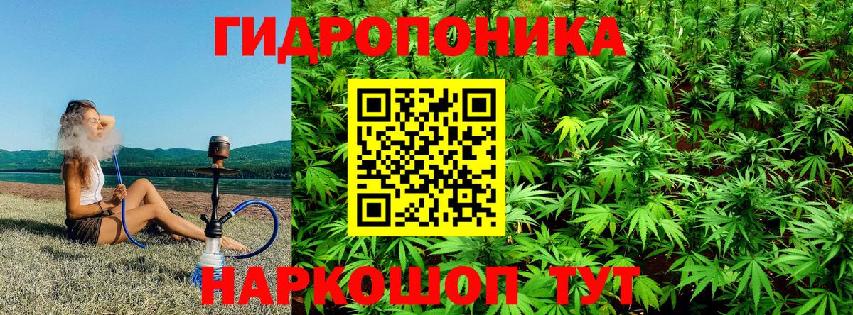 Шишки марихуана план  Бошки Шишки Ganja  МАРИХУАНА White Widow  Кондопога  Вход с VPN 